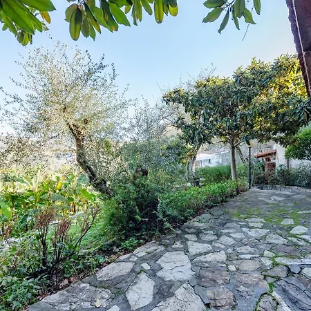 Apartment Renetta With Swimming Pool And Jacuzzi And Parking